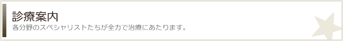 診療案内 -各分野のスペシャリストたちが全力で治療にあたります。-